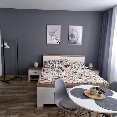 Apartman Ursula Jachymov Bagian luar foto